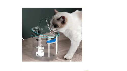 Bebedero Mascotas Transparentes